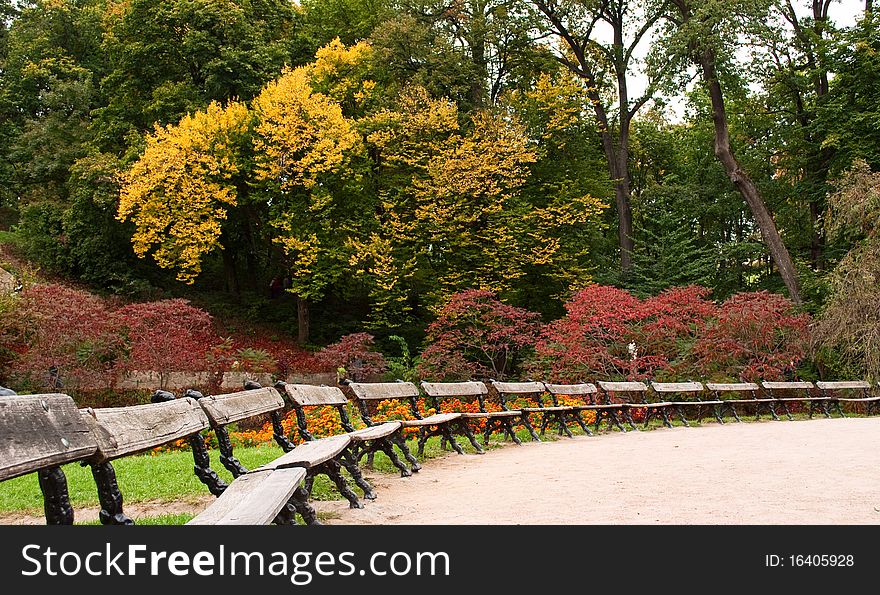 Benches In The Park