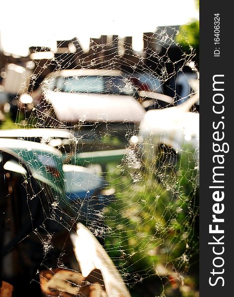 Spider web and old abandoned cars background.