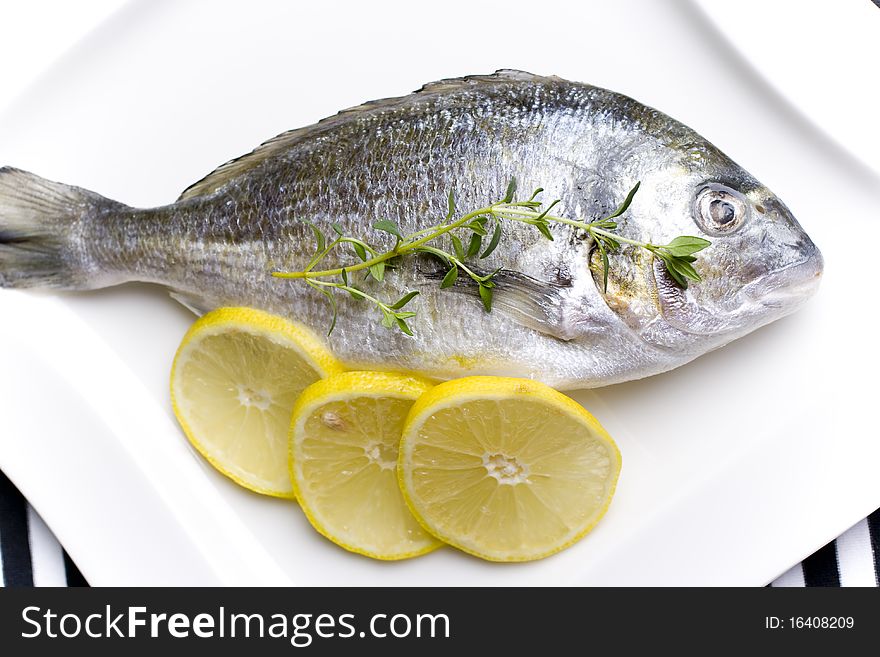 Gilt-head bream on ice