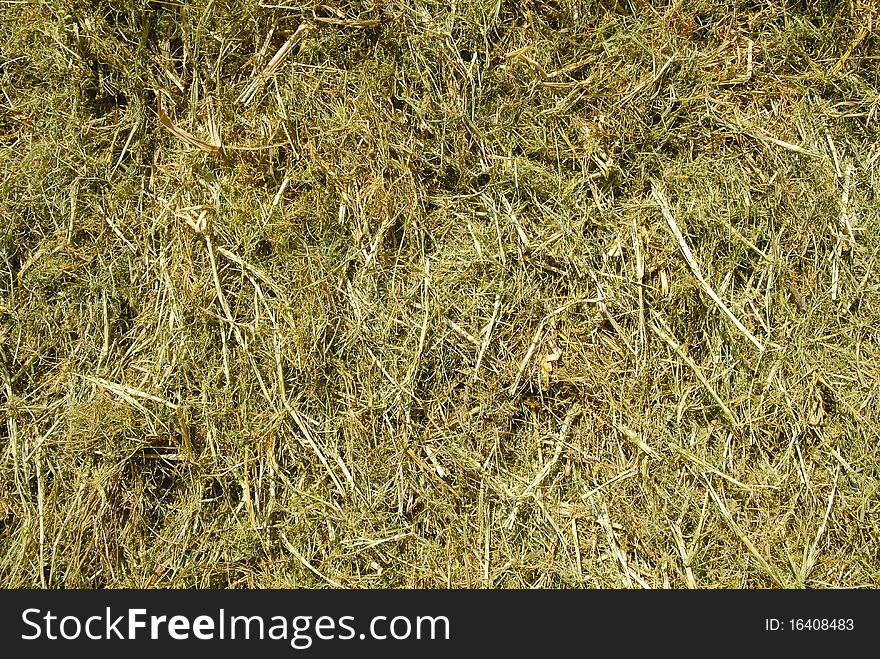 The grass is piled up cattle winter rations. The grass is piled up cattle winter rations.