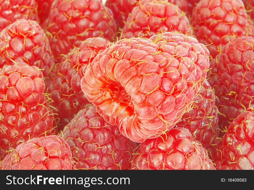 Sweet fresh raspberries close up