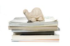Turtle Stock Image Turtle Stock Image