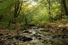 A Fall Stream Stock Photo A Fall Stream Stock Photo