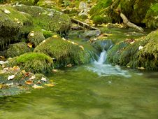 Mountain Stream Royalty Free Stock Photography Mountain Stream Royalty Free Stock Photography