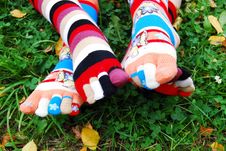 Socks In Autumn. Stock Photography Socks In Autumn. Stock Photography