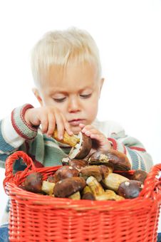 Boy With A Basket Of Mushrooms Royalty Free Stock Photo Boy With A Basket Of Mushrooms Royalty Free Stock Photo