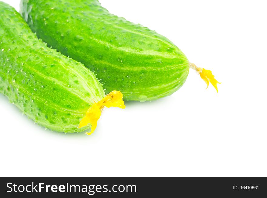 Two fresh green cucumbers over white