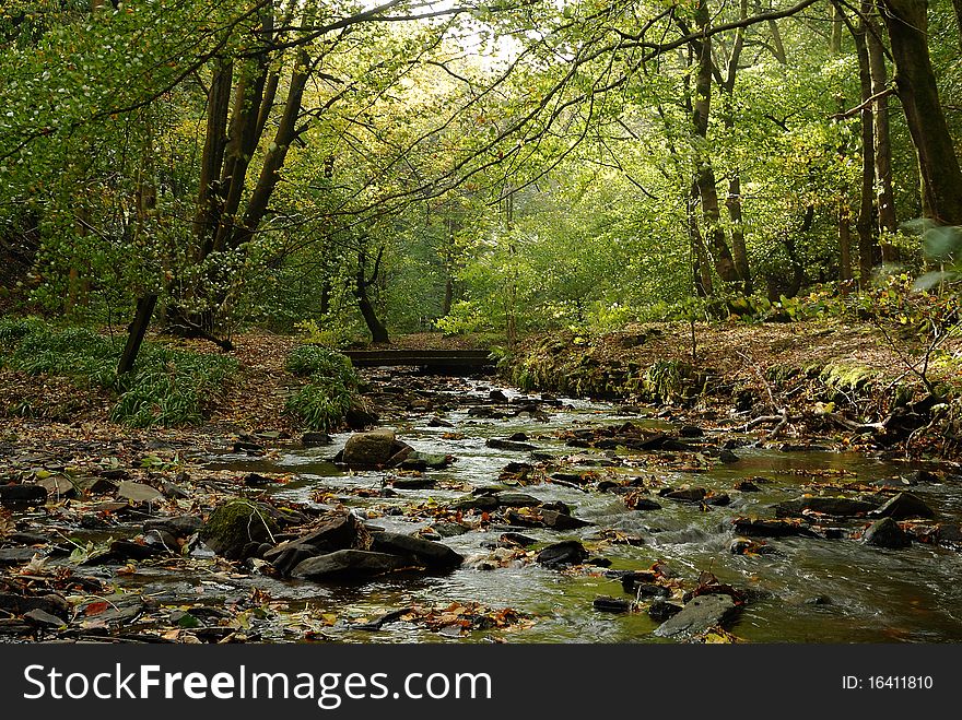 A Bridge over a Fall Stream