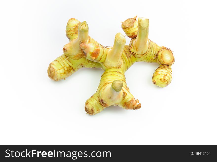 Root of Galangal on white background. Root of Galangal on white background.