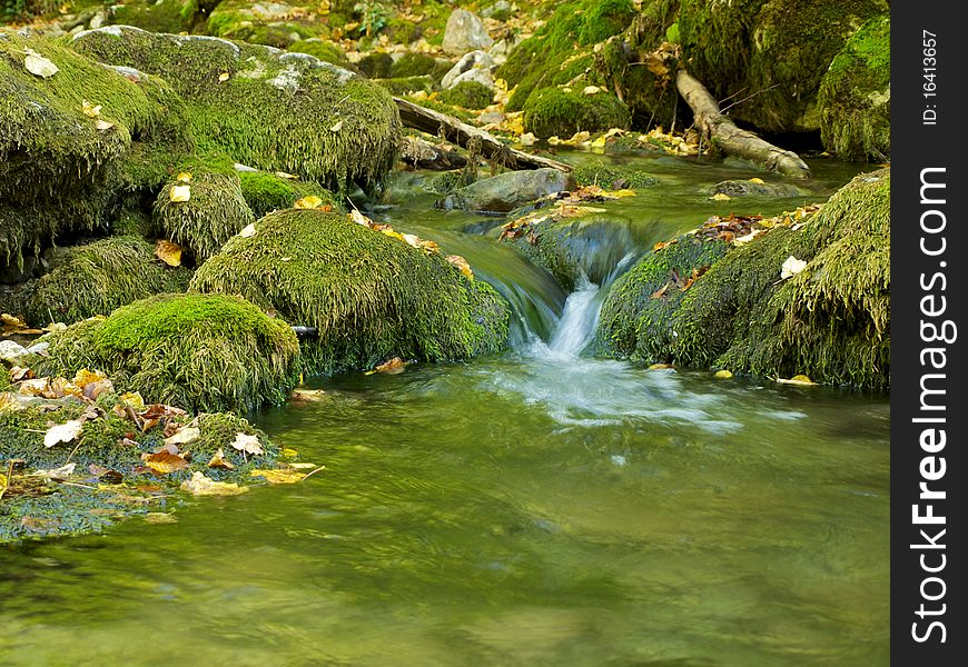 Mountain stream flowing among the mossy stones