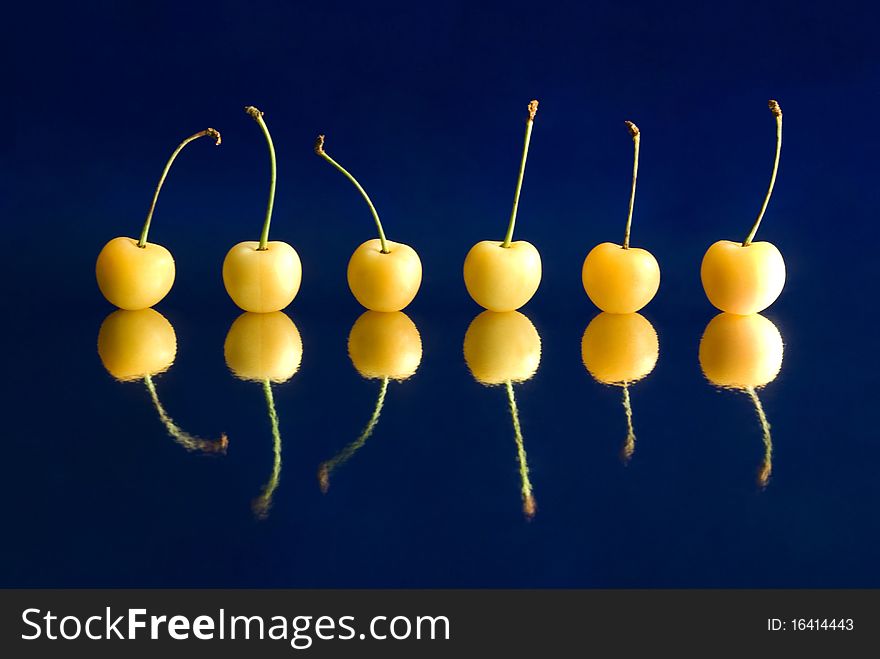 Six yellow cherries and their reflections are laying in row against the dark blue background, still life photography