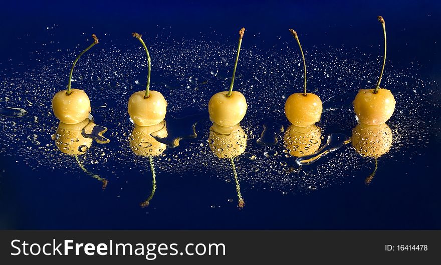 Five yellow cherries are laying in row with bright water drops and reflection against the dark blue background, still life photography. Five yellow cherries are laying in row with bright water drops and reflection against the dark blue background, still life photography