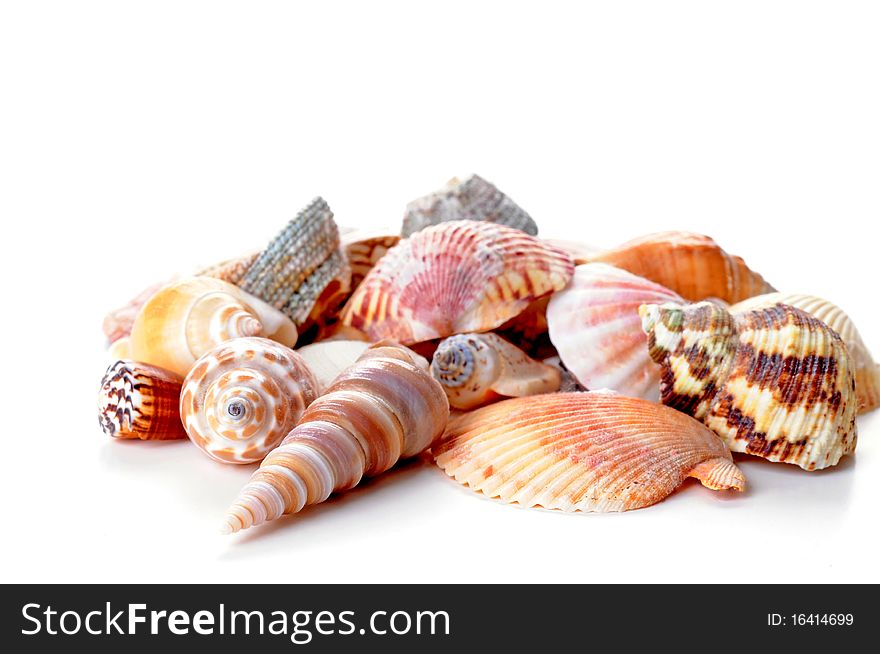 Shells