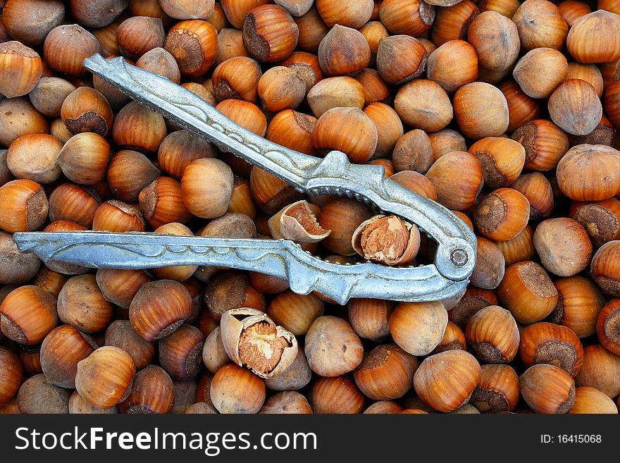 Nutcracker With Hazelnuts