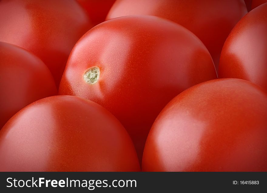 Fresh tomatoes, horizontal macro shot. Fresh tomatoes, horizontal macro shot