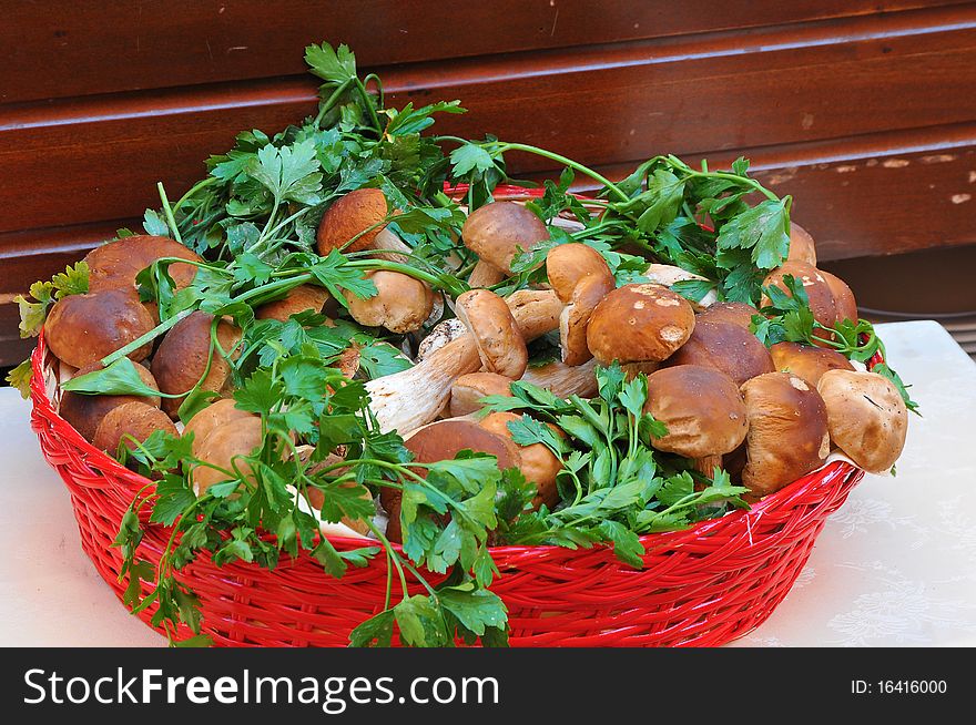 Brown Mushrooms with celery leaves in a red basket. Brown Mushrooms with celery leaves in a red basket