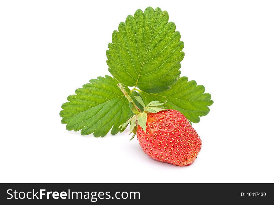 Fresh strawberry fruit with green leaves