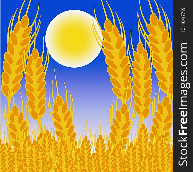 Moon night and field with ear of the wheat. Moon night and field with ear of the wheat