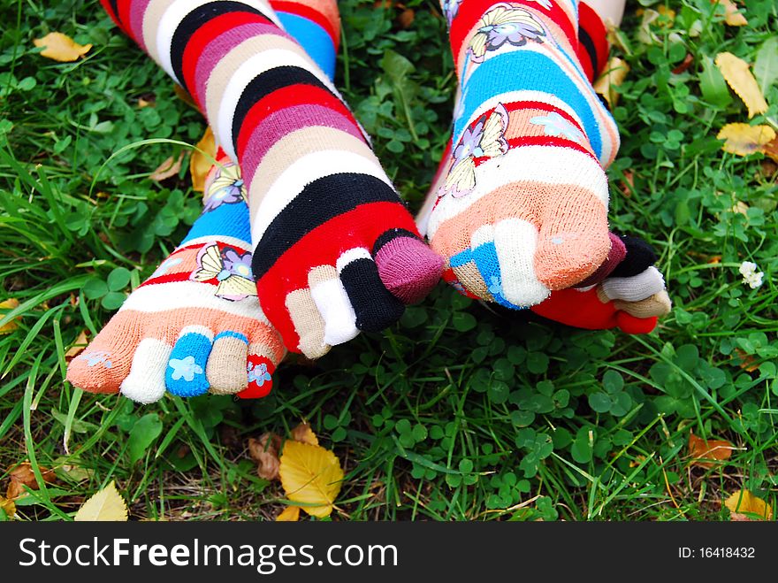 Beauty socks in autumn, on a grass. Beauty socks in autumn, on a grass.