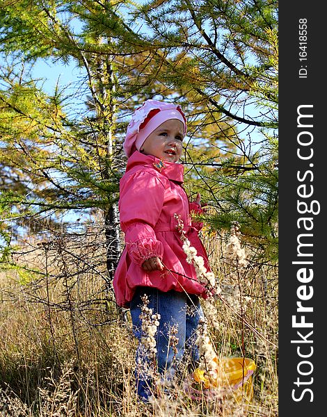 The girl with a bucket costs in a dry grass against fur-tree branches. The girl with a bucket costs in a dry grass against fur-tree branches