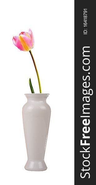 Flower In A Vase