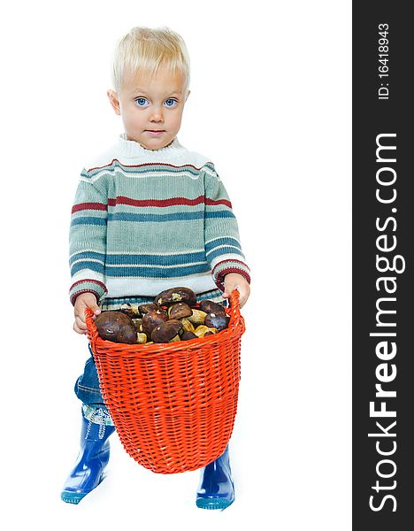 Little cute boy with a basket of mushrooms.