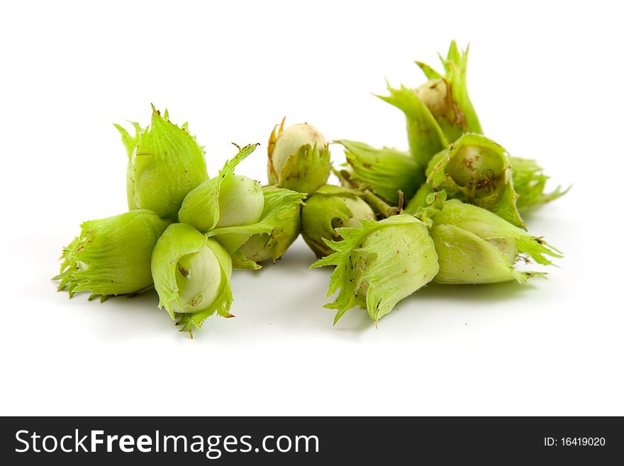 Group of hazelnuts with leaves. Isolated over white.