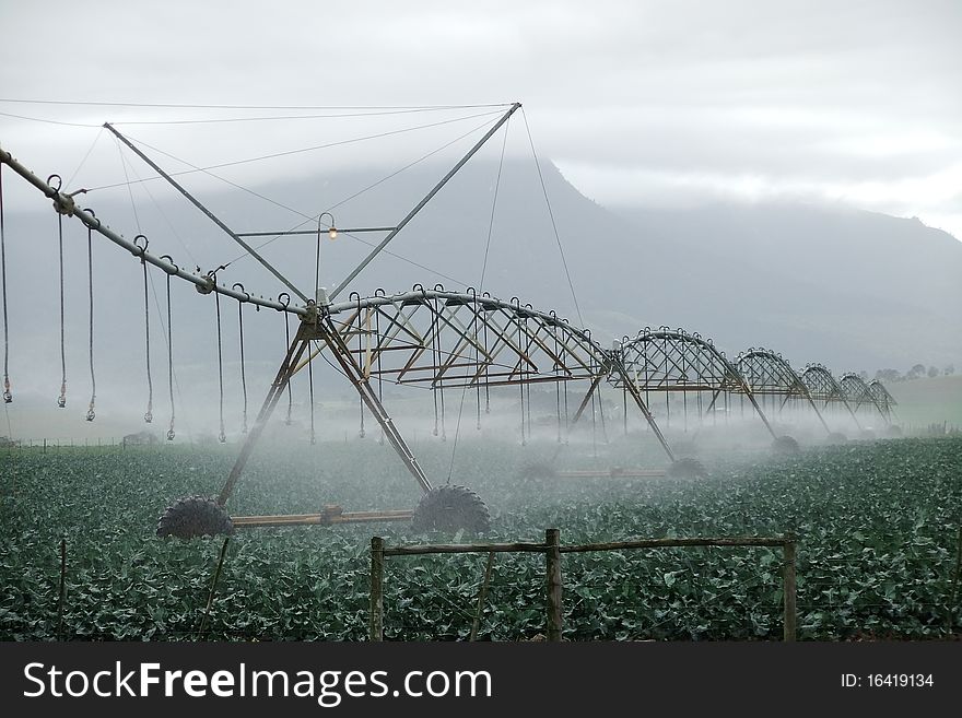 Pivot irrigation on a cabbage field in south africa