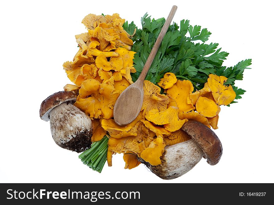 Mushrooms, boletes and golden chanterelle against white background