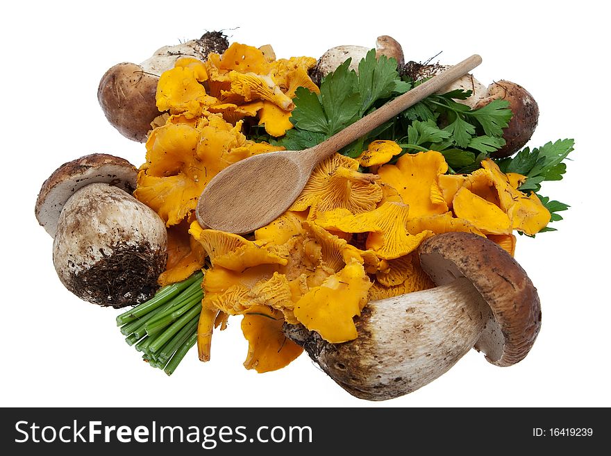 Mushrooms, boletes and golden chanterelle against white background