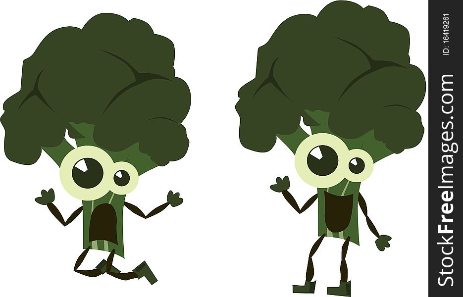 Vector illustration Green Broccoli on white. Vector illustration Green Broccoli on white