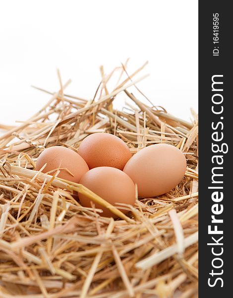 Brown Eggs in a nest of straw. Brown Eggs in a nest of straw