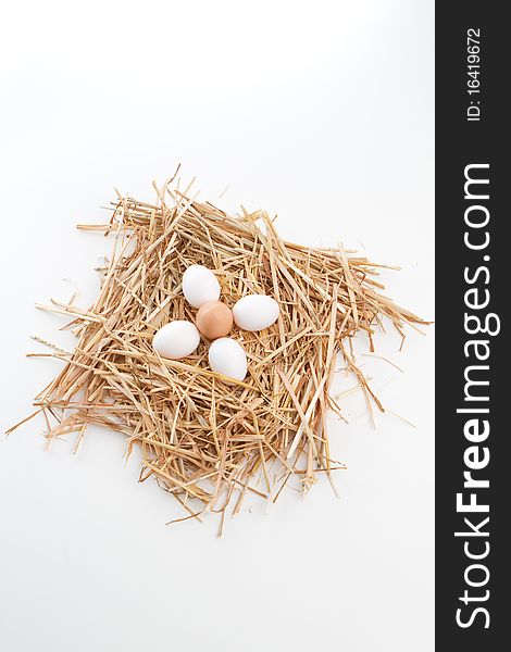 Single brown egg surrounded by white eggs in a nest of straw. Single brown egg surrounded by white eggs in a nest of straw