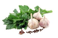 Garlic With Leaves Of A Celery And Spices Royalty Free Stock Photography Garlic With Leaves Of A Celery And Spices Royalty Free Stock Photography