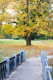 Autumnal View Royalty Free Stock Photos Autumnal View Royalty Free Stock Photos