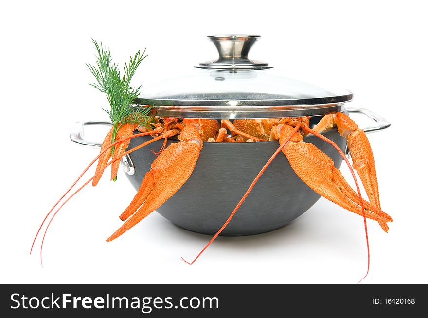 Closeup of isolated crayfish in pan on white background