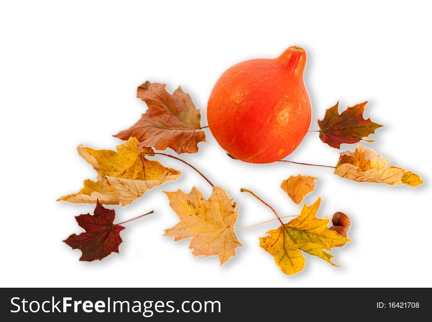 Pumpkin and Leafs, isolated on white. Pumpkin and Leafs, isolated on white