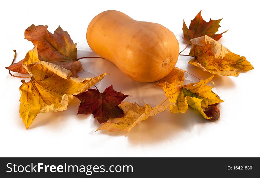 Pumpkin And Leafs Autumn Decoration