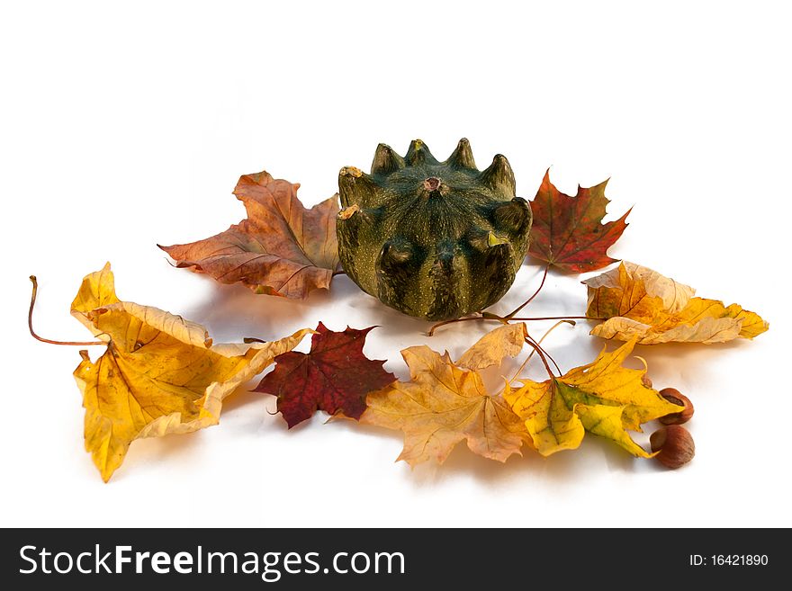 Pumpkin and Leafs, isolated on white. Pumpkin and Leafs, isolated on white