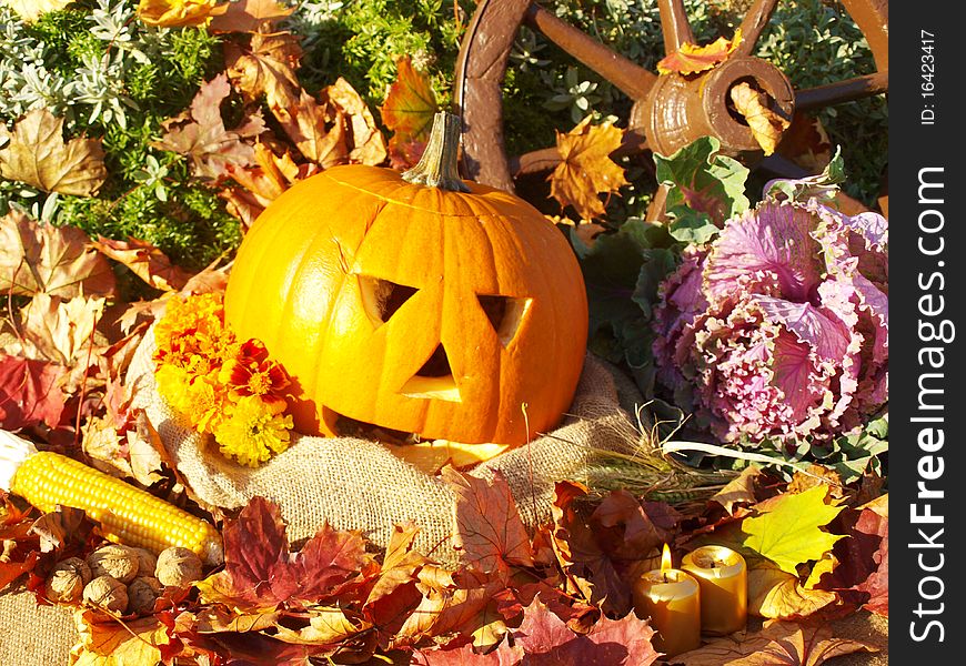 Torchbearer for Halloween in the colorful foliage