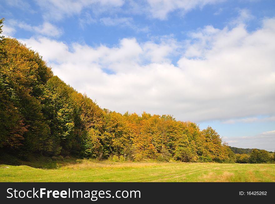 An edge of autumn wood in a landscape under the dark blue sky with clouds. An edge of autumn wood in a landscape under the dark blue sky with clouds.