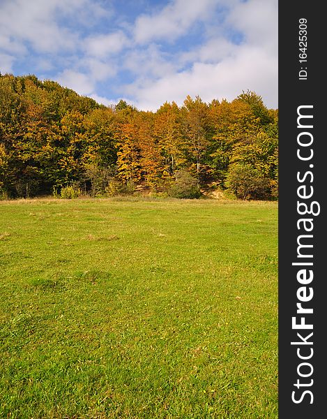 An edge of autumn wood in a landscape under the dark blue sky with clouds. An edge of autumn wood in a landscape under the dark blue sky with clouds.