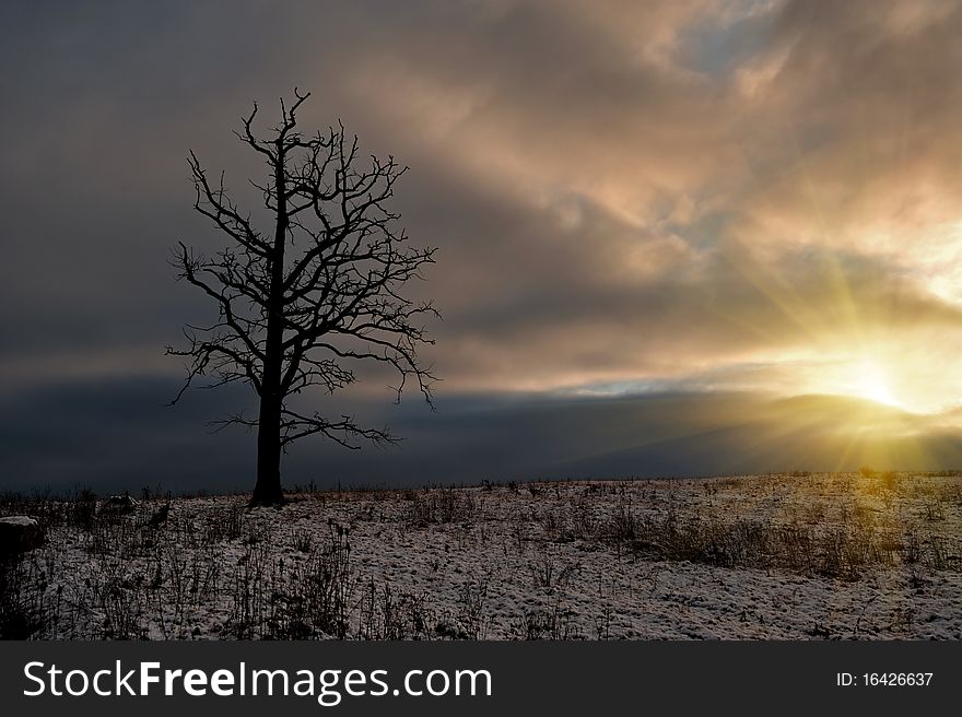 Evening landscape of European part of Ukraine