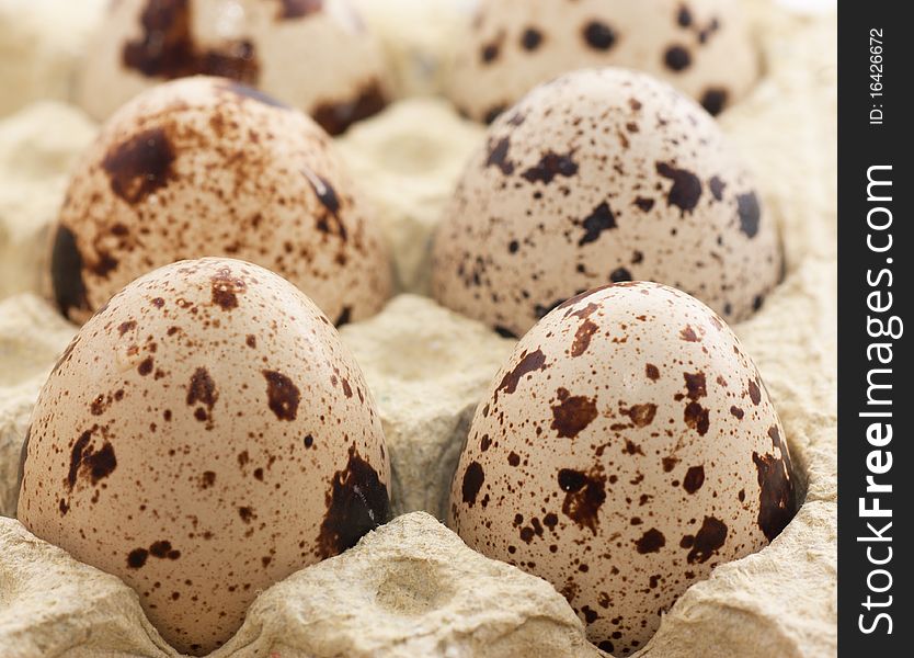 Quail eggs in special safe box.