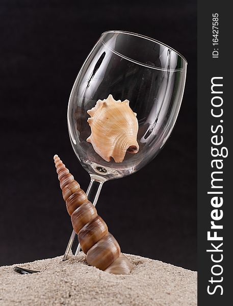 Seashell in Wine Glass For Travel