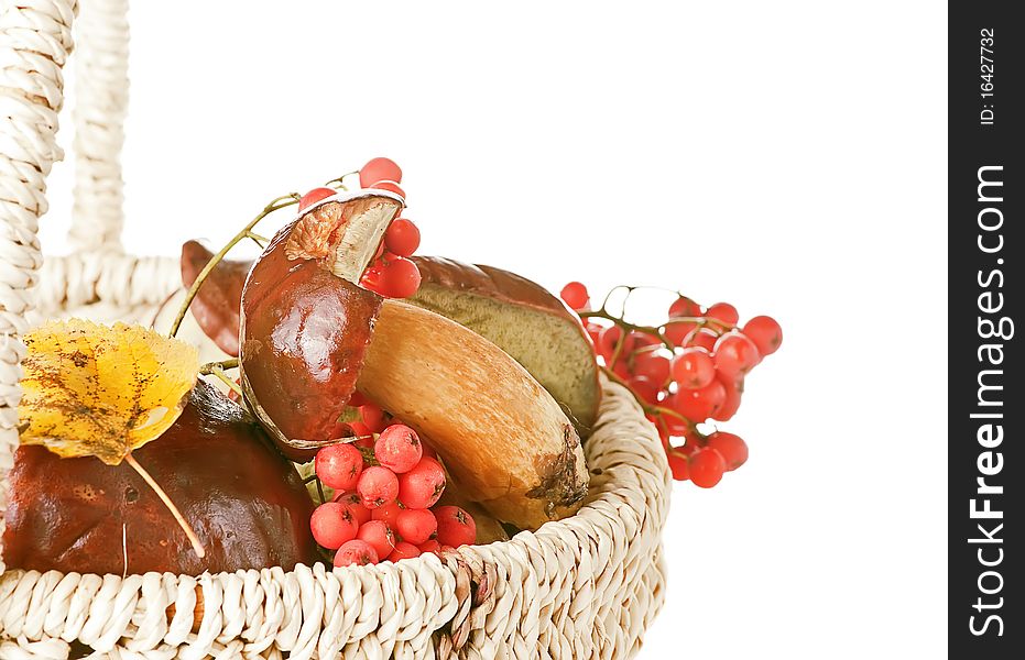 Basket with mushroom, berry and leaf isolated on white