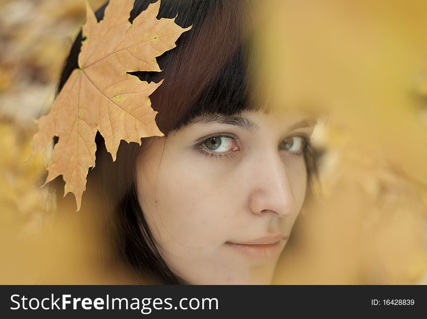 Portrait of a beautiful young woman. Portrait of a beautiful young woman