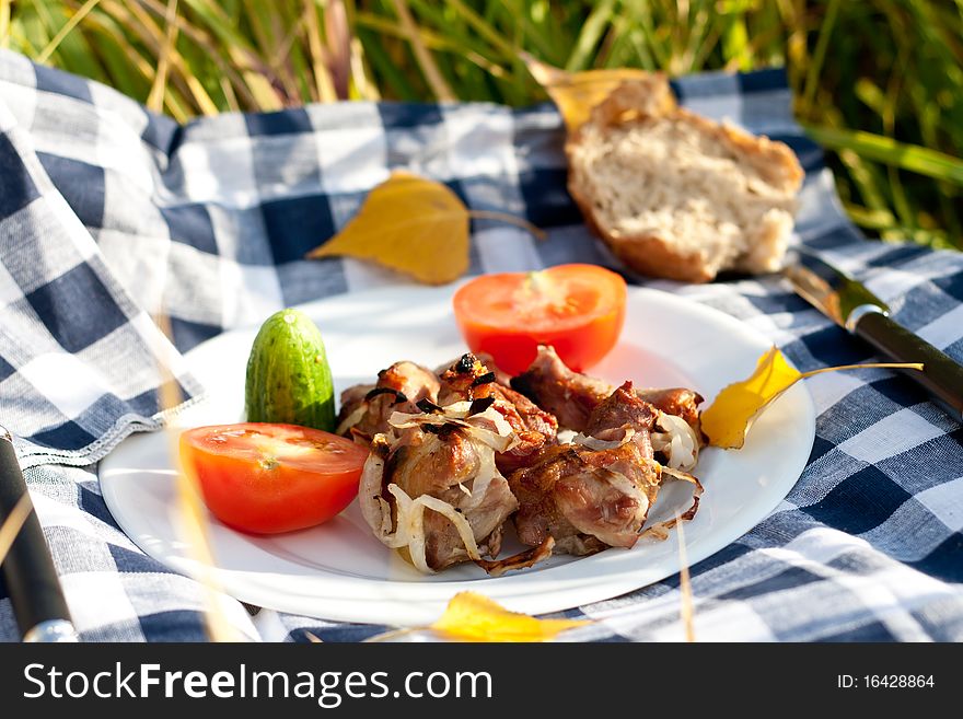 Grilled meat picnic dinner with place setting and autumn leaves. Grilled meat picnic dinner with place setting and autumn leaves