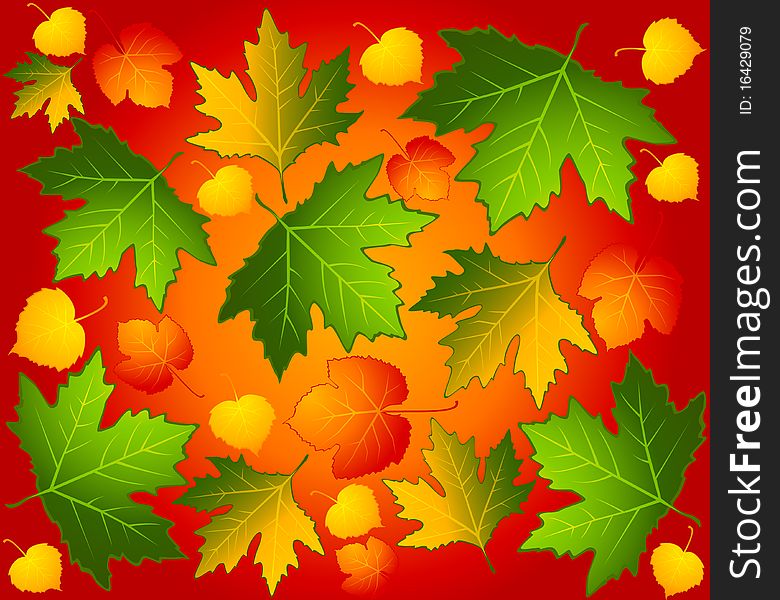 Autumnal Seamless Background With Leaves.