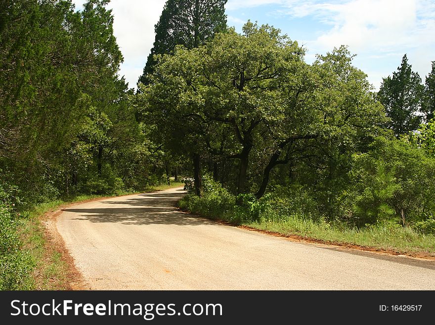 Driving through a country road with trees lining up the road. Driving through a country road with trees lining up the road